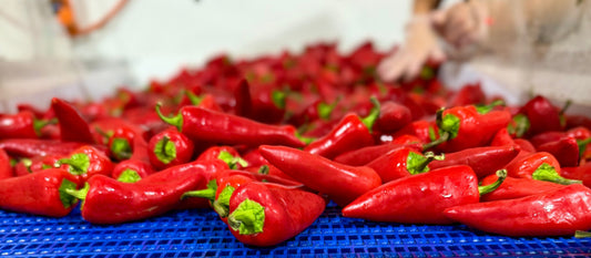 Pepper. Season. Is. Here.