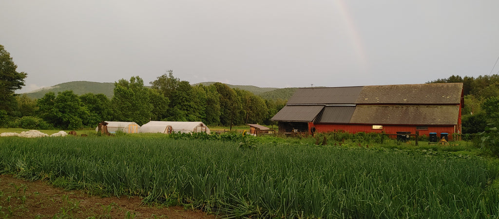 Featured Small Farm: Familia Farm