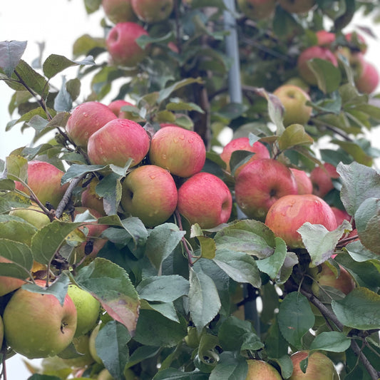 The secret ingredient is: don’t f* it up