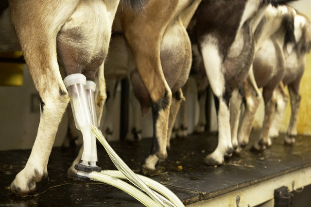 You get out what you put in