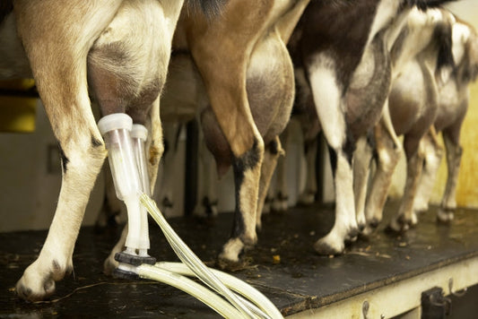 You get out what you put in