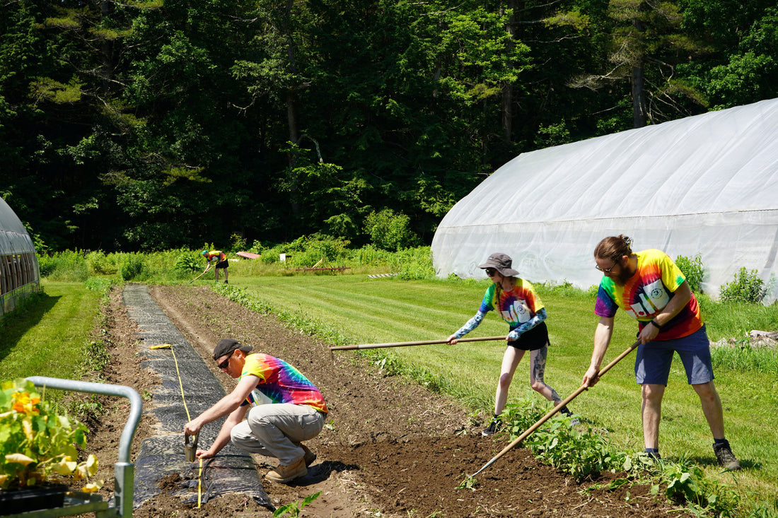 Small farms, big flavor