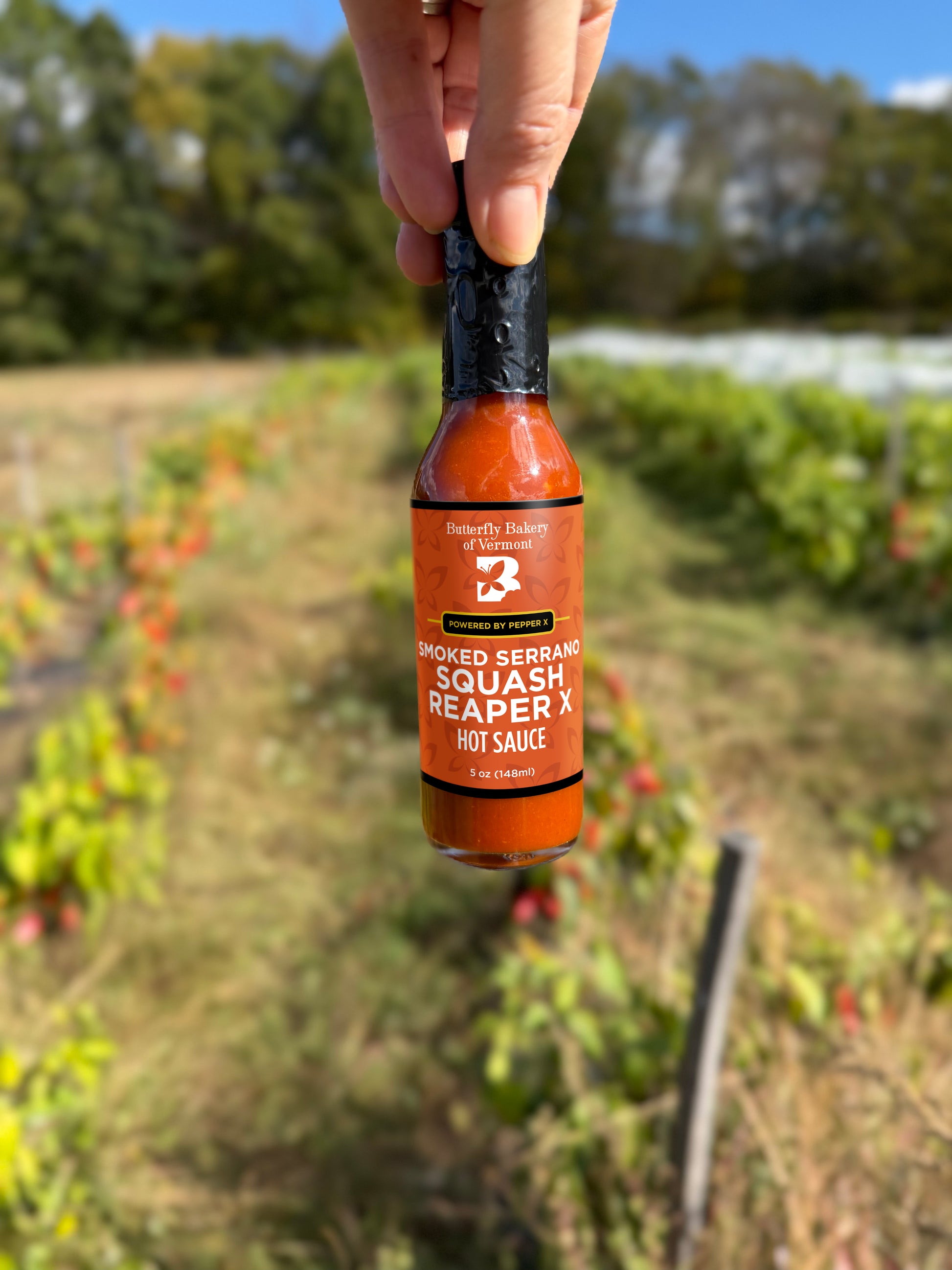 where to buy pepper plant hot sauce Smoked Serrano Squash Reaper X Hot Sauce