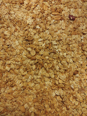 Peanut Maple Vanilla Granola - Butterfly Bakery of Vermont